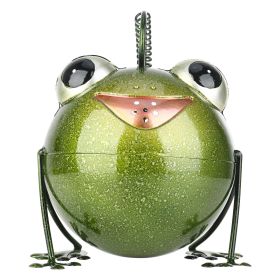 Creative Cartoon Iron Frog Watering Pot Creative Home Decoration