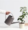 Long Nozzle Watering Can With Sprinkler Head - Gray