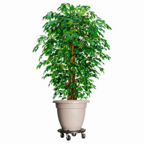 Plant Trolley with Wheels Diameter 15.7" Black 606.3 lb - Black