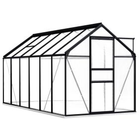 Greenhouse with Base Frame Anthracite Aluminum 75.7 ftÂ² - Anthracite
