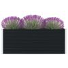 Raised Garden Bed 63"x31.5"x17.7" Galvanized Steel Anthracite - Anthracite