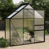 Greenhouse Anthracite Aluminum 14.3 ftÂ² - Anthracite