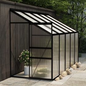 Greenhouse Anthracite Aluminum 220 ftÂ³ - Anthracite