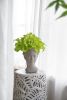 Greek Style Cement Head Planter - Indoor Outdoor Home Garden Decor, D7" x 11" - as Pic