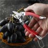 Garden Shears Hand Pruner Gardening Scissors - Red - Large