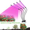 Grow Lights for Indoor Plants, iMounTEK 80W 80 LEDs Plant Lights with Red Blue Full Spectrum 10 Dimmable Level - Black