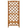 Plant Stand with Trellis Orange 23.6"x11.8"x55.1" Solid Firwood - Orange