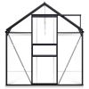 Greenhouse with Base Frame Anthracite Aluminum 75.7 ftÂ² - Anthracite