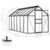 Greenhouse with Base Frame Anthracite Aluminum 75.7 ftÂ² - Anthracite