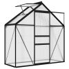 Greenhouse Anthracite Aluminum 14.3 ftÂ² - Anthracite