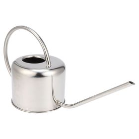 2 L Stainless Steel Household Long Mouth Large Capacity Watering Pot (Option: Stainless Steel Color)