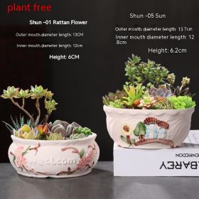 Ceramic Large Diameter Succulent Flowerpot (Option: 15style-Ceramic)