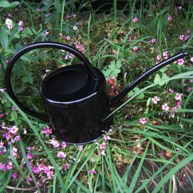 Watering Iron Sheet Watering Pot Gardening Garden Greening Vegetable Garden Large Capacity Kettle (Color: Black)