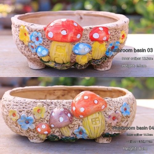 Ceramic Large Diameter Succulent Flowerpot
