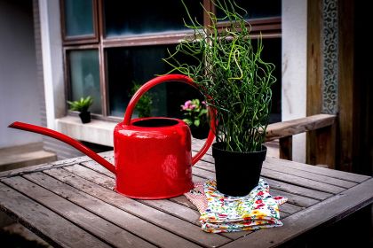 Watering Iron Sheet Watering Pot Gardening Garden Greening Vegetable Garden Large Capacity Kettle (Color: Red)