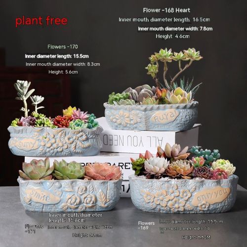 Ceramic Large Diameter Succulent Flowerpot