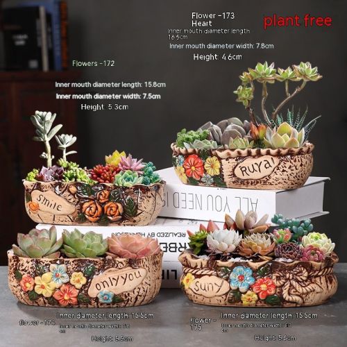 Ceramic Large Diameter Succulent Flowerpot
