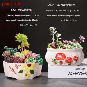 Ceramic Large Diameter Succulent Flowerpot (Option: 17style-Ceramic)